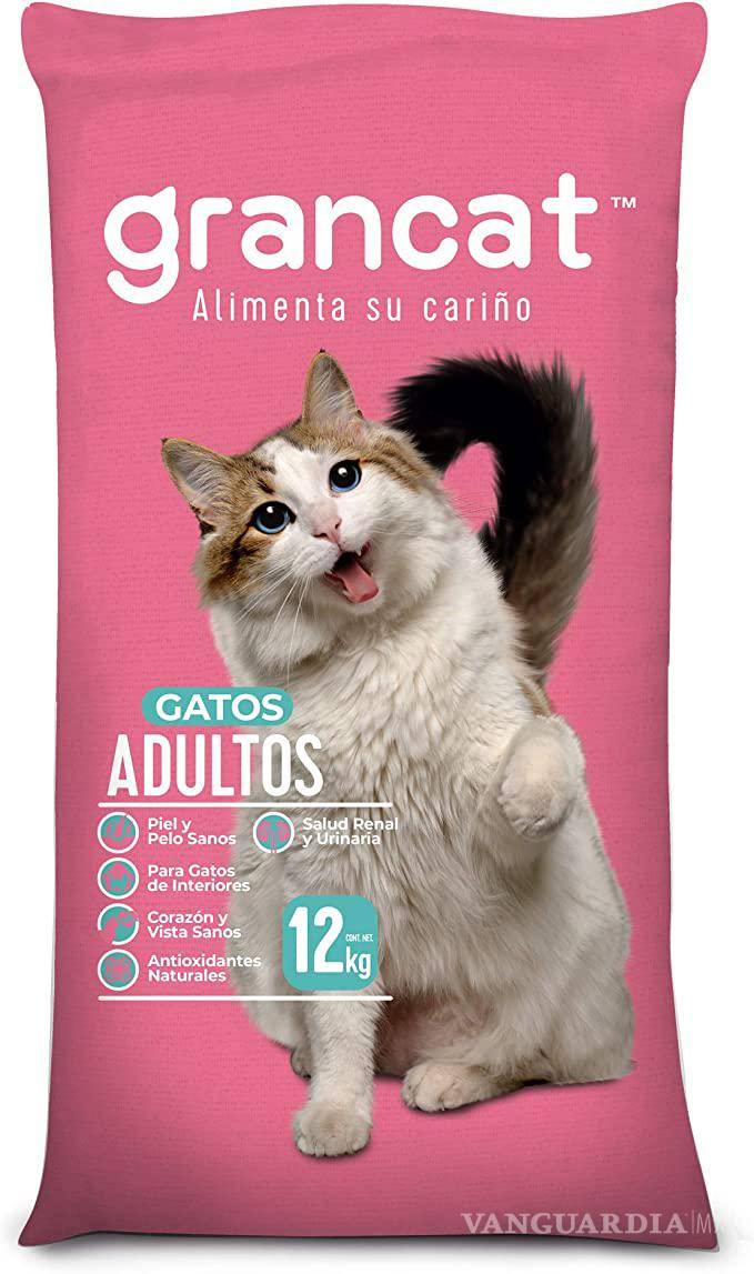 $!¿Hay gato encerrado en las croquetas para tu ‘michi’?... Según Profeco, estas son las marcas más engañosas y dañinas para tu mascota