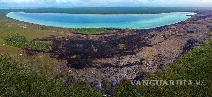 $!Incendio en reserva Sian Ka'an en Quintana Roo, controlado al 80%