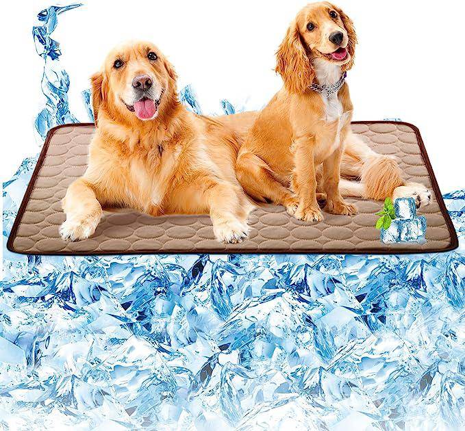 $!Tapete refrescante para perros.