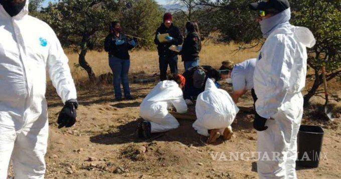 $!Encuentran más de 2 mil fragmentos óseos en el Rancho Dolores, en Chihuahua