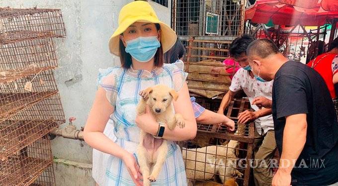 $!Pese a todo, el festival de carne de perro inició en China