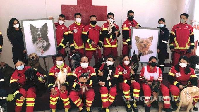 $!Detienen al que envenenó a perros de la Cruz Roja de Querétaro