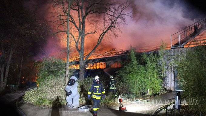$!Tres mujeres se entregan por causar incendio en zoológico en Alemania