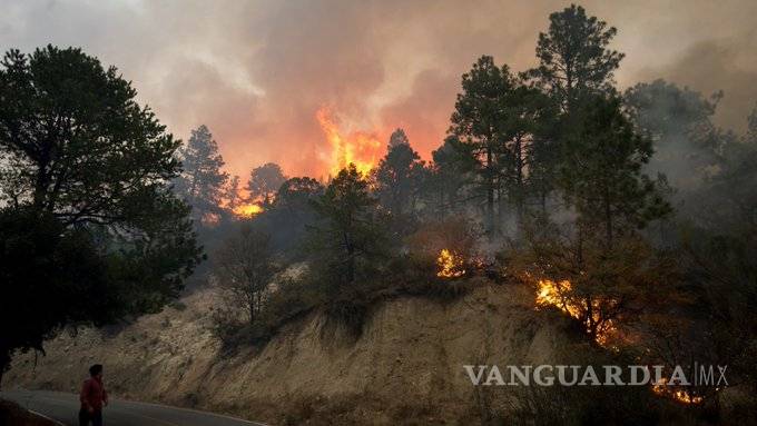 $!Diputados demandan más recursos para combatir incendios forestales, critican falta del FONDEN