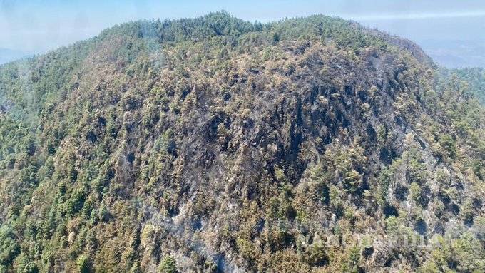 $!Incendio acabó con 100 hectáreas de Biosfera de la Mariposa Monarca