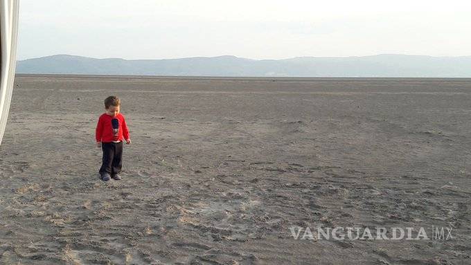 $!Lago de Cuitzeo en riesgo de desaparecer, 15% ya se encuentra seco