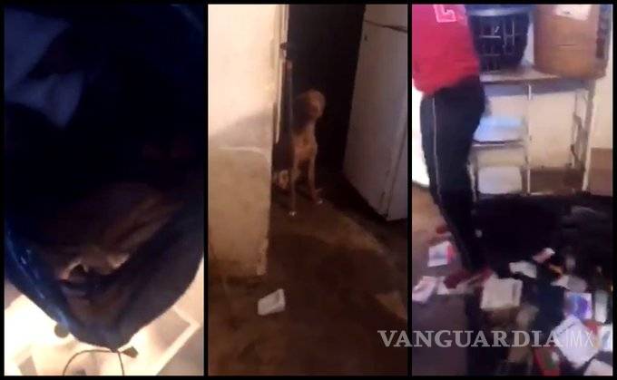 $!Mujer secuestraba perros para comérselos y vender su carne, en Puebla