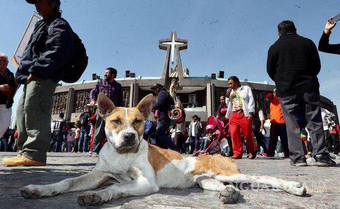 $!Casi 2 millones de peregrinos han llegado a la Basílica de Guadalupe