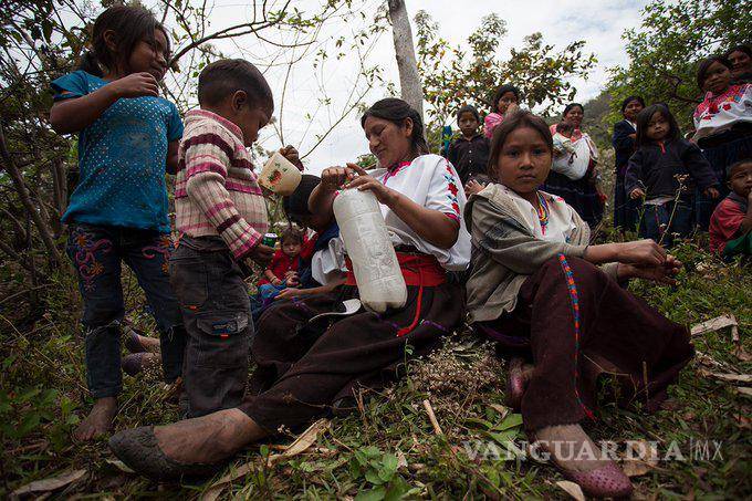 $!Denuncian ataques armados contra comunidades en Aldama, Chiapas; provocan desplazamiento de miles