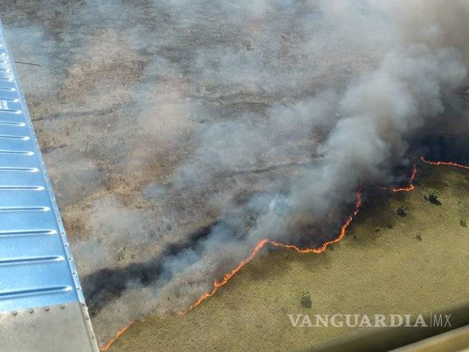 $!Zona más frágil de Sian Ka’an tardaría 200 años en recuperarse, van 5 mil hectáreas quemadas