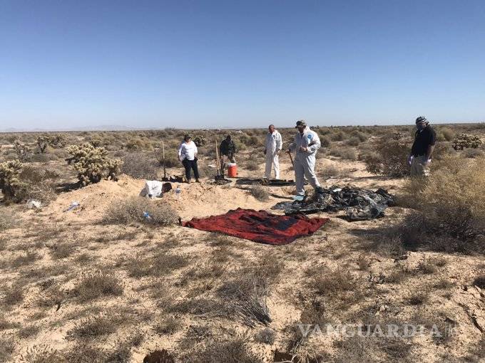 $!Voluntarias encuentran 40 osamentas y dos cadáveres en Sonora