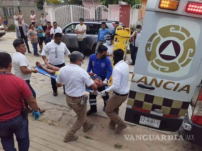 $!No sacrificarán al ‘héroe de Copoya’, pitbull que sometió a presunto ladrón en Chiapas