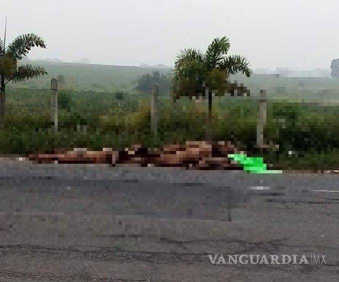 $!Arrojan 9 cuerpos en carretera de Veracruz; dejan mensaje al secretario de Gobierno