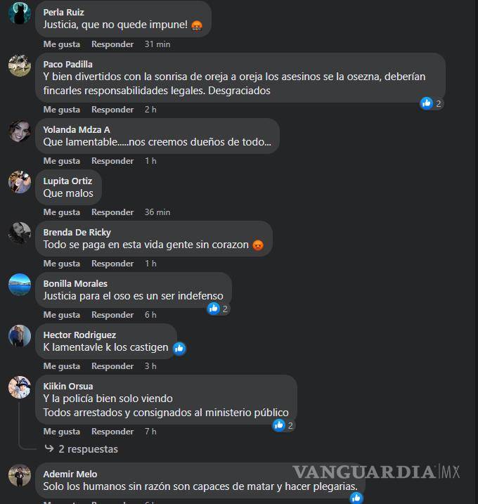 $!Coahuila: indigna tortura y muerte de osezna a manos de ciudadanos en Castaños; Gobernador condena agresión