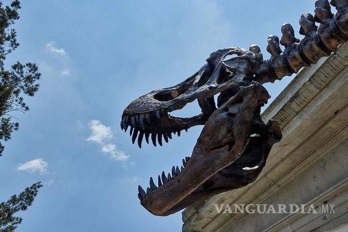 $!Aunque la exposición no deja ganancias económicas para el MUDE, están ganando mucha visibilidad y posicionamiento.