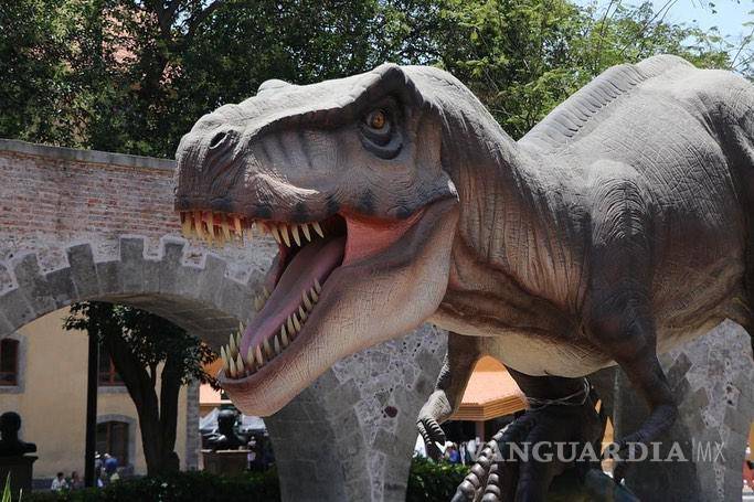 $!Cerca de 60 guías fueron contratados y capacitados por el museo saltillense en la CDMX.