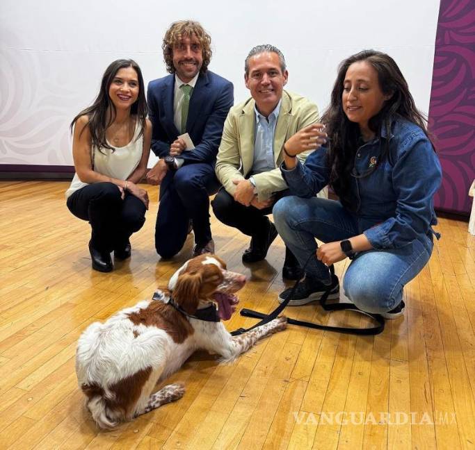 $!Se necesitó una inversión de medio millón de pesos para traer a “Manchas” de Chile.