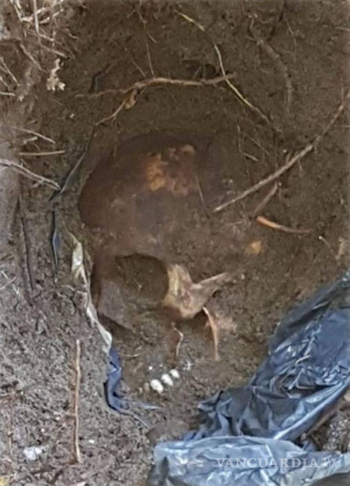 $!Lamentan nivel de maldad en Veracruz; familiares identifican ropa de bebés en fosas