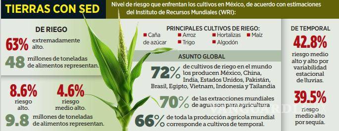 $!Pega crisis hídrica a 63% de cultivos