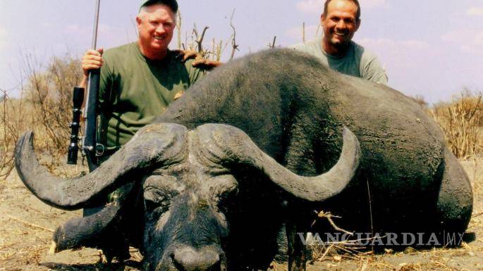 $!Búfalo mató a cazador que había asesinado a uno de su manada
