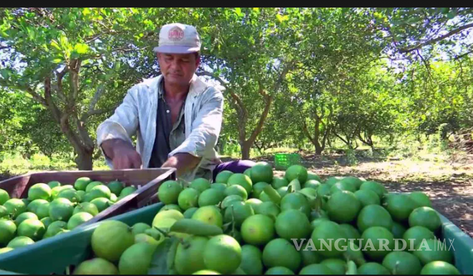 Crimen organizado manda ‘a las nubes’ productos de la canasta básica: Canaco Piedras Negras