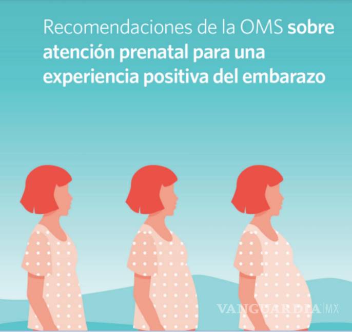 $!La Organización Mundial de la Salud (OMS) publicó por primera vez una lista de 60 recomendaciones para las madres que acaban de tener un hijo.