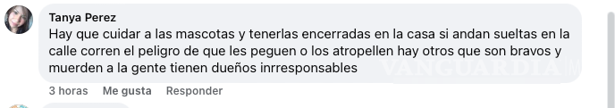 $!Tanya “N” opina sobre la responsabilidad de los dueños de mascotas y la necesidad de mantenerlos protegidos en casa para evitar ataques.