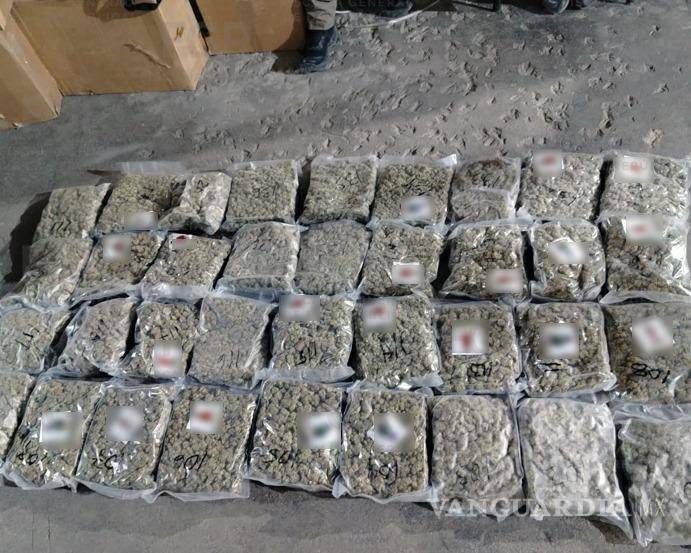 $!Durante la intervención realizada sobre la carretera federal 54 Saltillo-Zacatecas, autoridades aseguraron más de 762 kilogramos de mariguana y una cantidad menor de sustancia con características de metanfetamina.