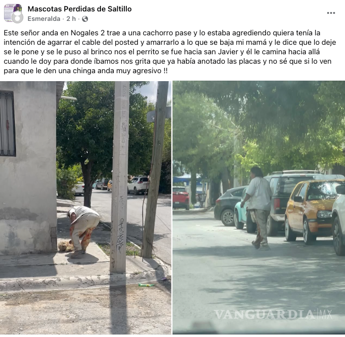 $!Publicación en redes sociales que alertó a la comunidad sobre el maltrato a un cachorro en Nogales II, Saltillo.