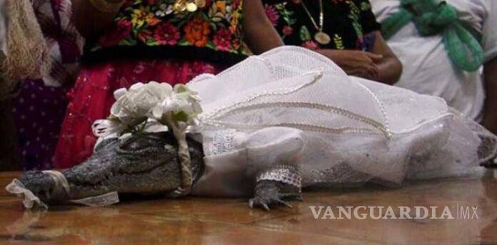 $!El animal fue llevado a la iglesia con el vestido de novia.