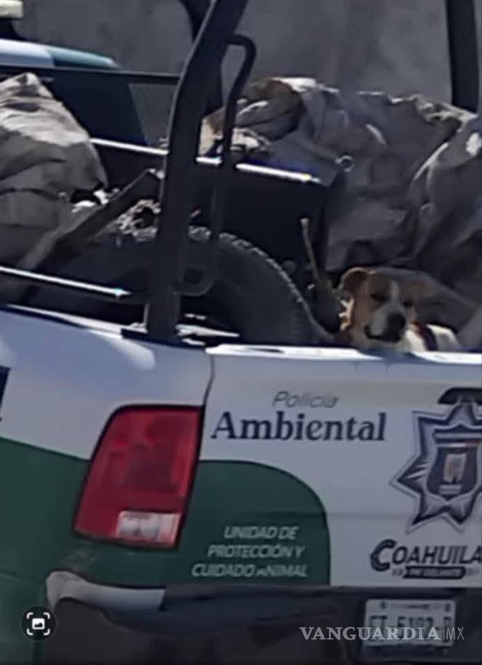 $!El alcalde Fernando Orozco reconoció fallas en el procedimiento de captura y aseguró que el responsable fue suspendido en tanto se realizan las investigaciones.