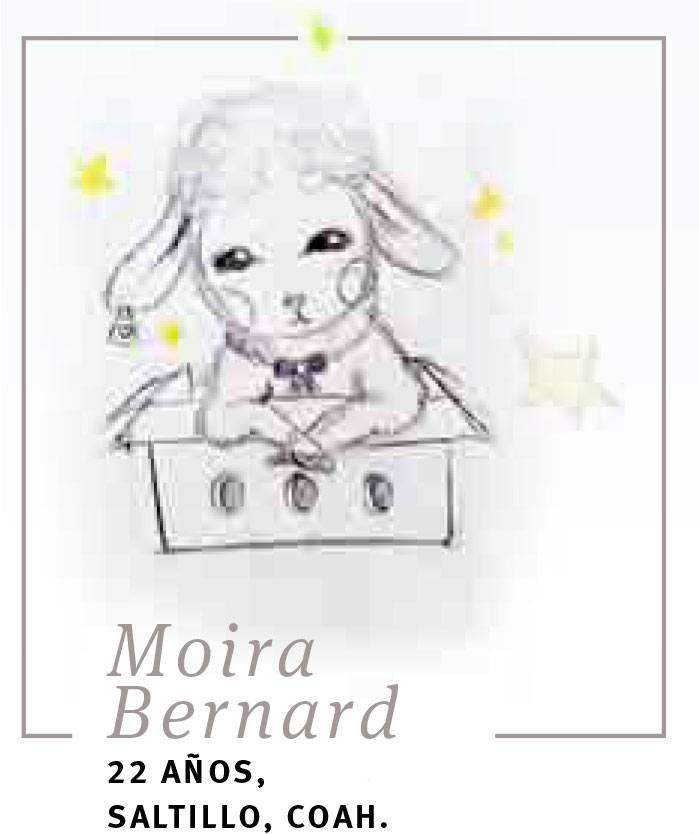 $!A 75 años de la publicación de 'El Principito', pedimos a lectores y colaboradores: 'Por favor... dibújame un cordero!