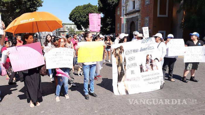 $!Protestan por liberación de mujer acusada de asesinar perros en Puebla