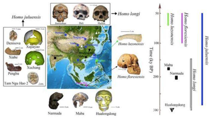 $!Revelan una posible nueva especie humana, el Homo juluensis