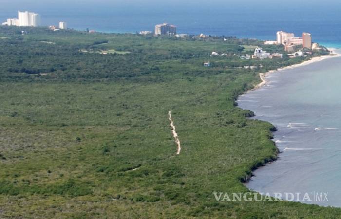 $!Gobernador de Quintana Roo remata terrenos en Cozumel; ganan familiares y amigos