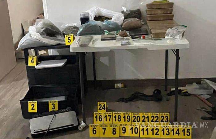 $!Se llevan a perritos tras cateo por narcomenudeo en Nuevo León