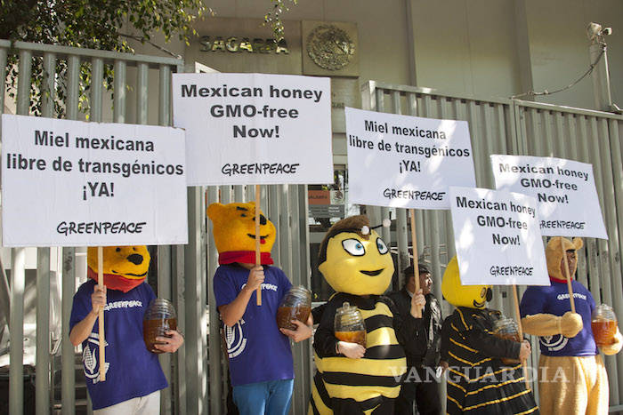 $!No hay flores ni néctar para las abejas, hasta con aviones echan los fertilizantes: denuncian mayas