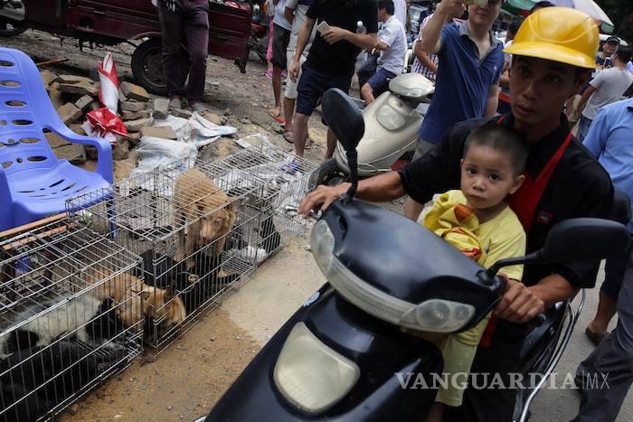 $!Mañana inicia la controvertida carnicería de perros en China