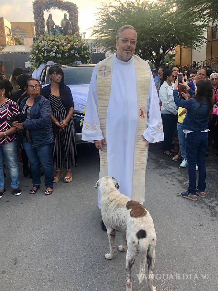 $!Sacerdote lleva perros a sus misas para que fieles los adopten; "Son de Dios"