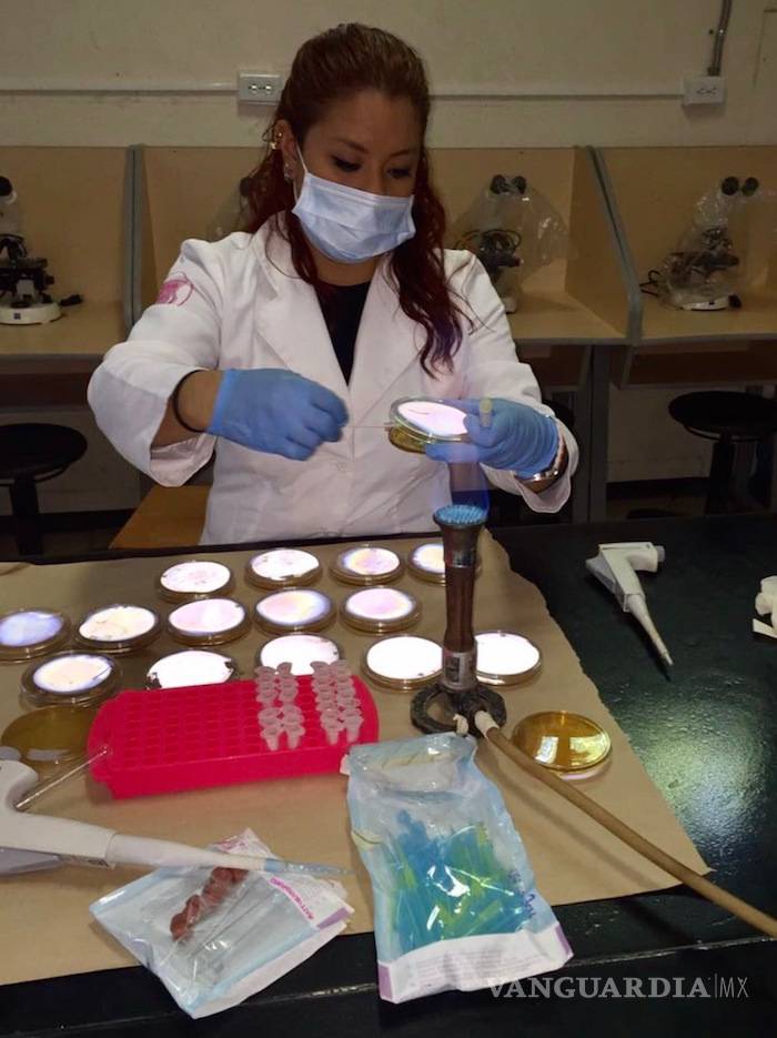 $!Investigadores de la UAdeC crean una goma dulce para combatir enfermedades dentales