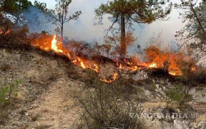 $!Sin tregua combate a 5 incendios forestales en Coahuila; se aprecia otra fumarola en carretera a Torreón