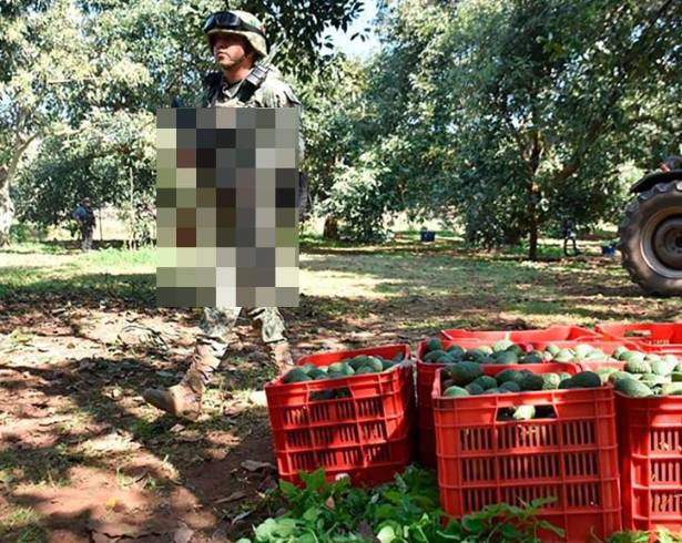 Entre los resultados más relevantes se reportó el aseguramiento de munición, equipo bélico, ocho dispositivos explosivos de fabricación casera y cuatro unidades motrices.