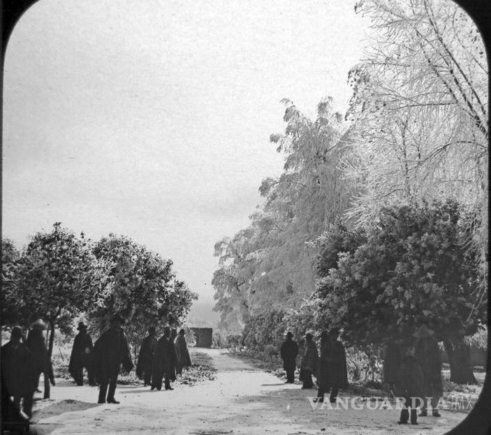 $!Fotografía de Saltillo en 1887. La nieve cubre los árboles y el suelo. Se observa a personas con atuendos abrigadores.