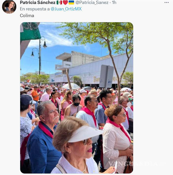 $!¿Cómo se vivió la marcha en defensa del INE en los estados?