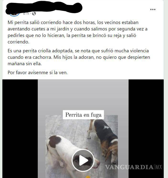 $!En redes sociales, dueños de perros piden ayuda para encontrar a las mascotas que huyeron en medio de ataques de pánico por fuegos artificiales. REDES SOCIALES.