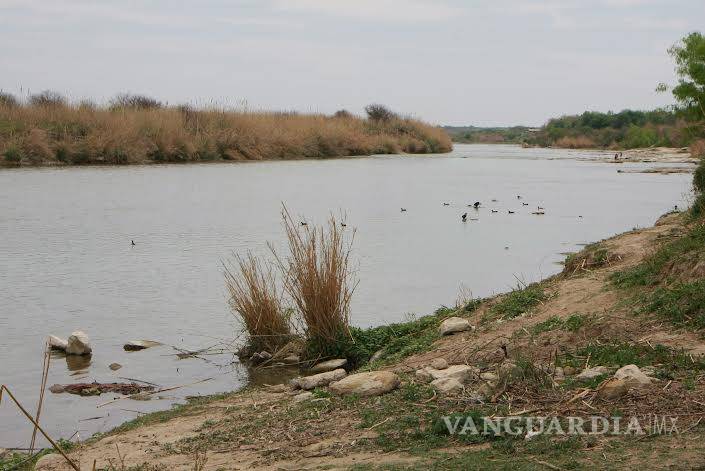 $!Avistamientos de cocodrilos en el río Bravo disminuye migración de menores