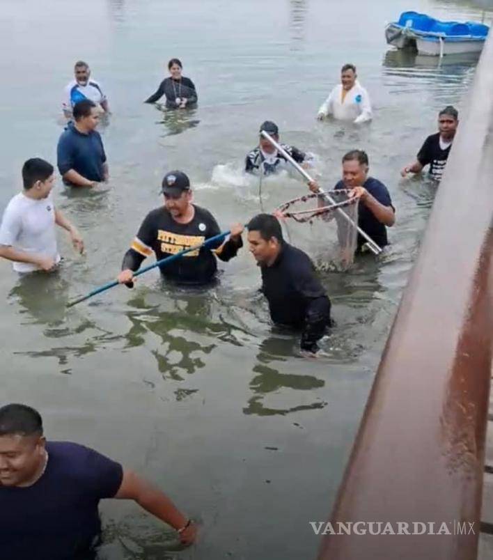 $!Ya ubicado, lo que seguía era atrapar a “Coco”, y no hubo mayores problemas.