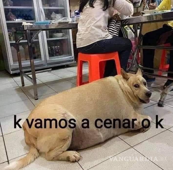 $!Las infusiones de menta, manzanilla, toronjil y jengibre son aliadas para aliviar el empacho en adultos. ¡Descubre sus beneficios!