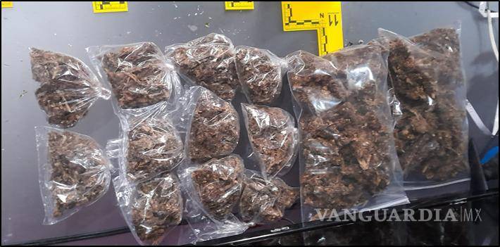 Catean viviendas en Nuevo León por delitos contra la salud y detienen a 9