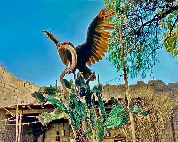 No es un águila real, porque está en vías de extinción, pero sí es un buitre parado sobre un nopal y devorando a una de las serpiente.